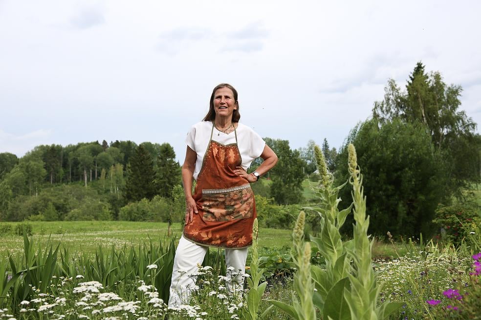 Villiyrttiverkkokurssi – Syötävät luonnonkasvit tutuiksi by Frantsilan Tila