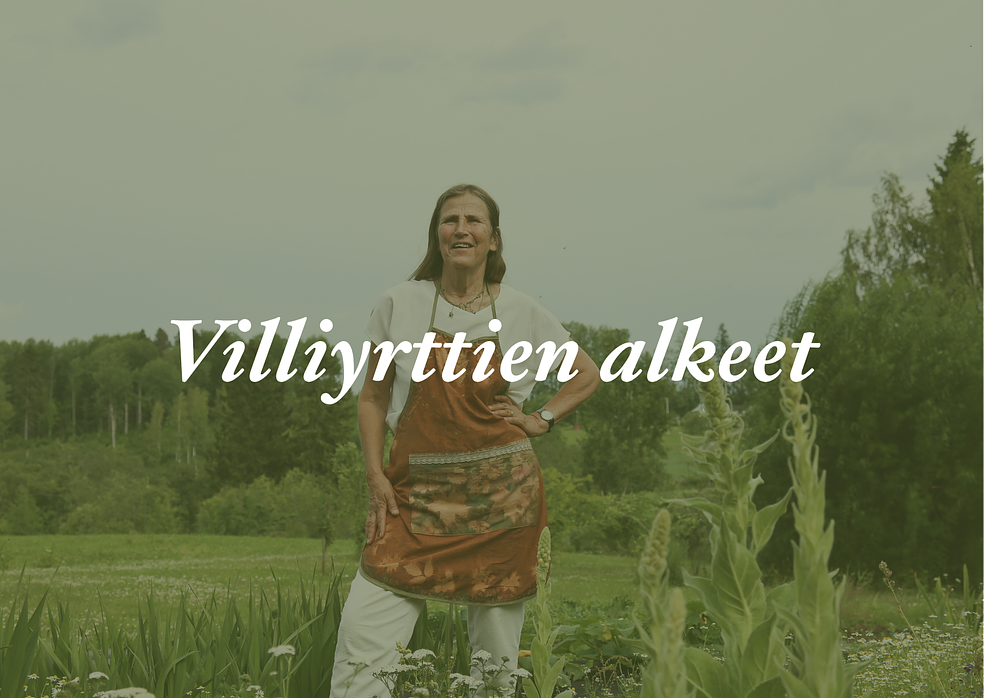 Villiyrttien alkeet: 10 kasvin verkkokurssi by Frantsilan Tila